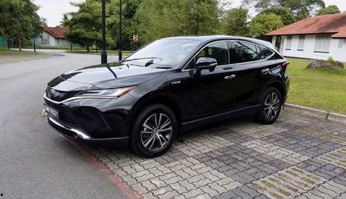 91po国产,揭秘神秘东方古国的历史与文化